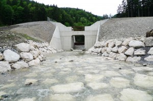 Wildbach- und Lawinenschutz