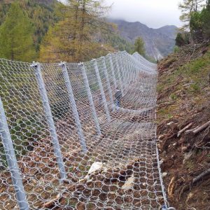 Lawinenschutzverbauung Wiesenegglawine