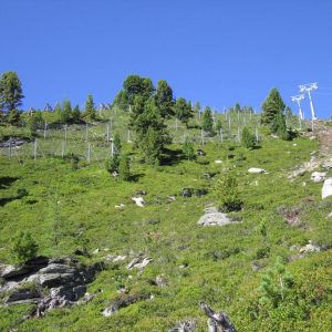 Sicherheitsanalyse Lawinengefahr und Detailprojekt Anbruchverbauung für Seilbahn 6 SBK Zirbenjet