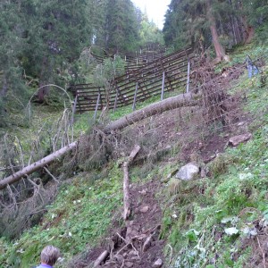 Lawinenschutz Gasteiner Alpenstraße