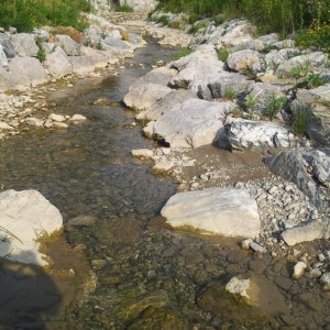 Restrukturierung und Revitalisierung Kertererbach