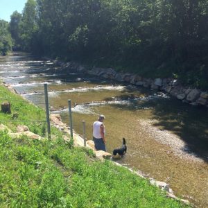 Sanierung Mattig Fluss-km 2,00 – 5,20