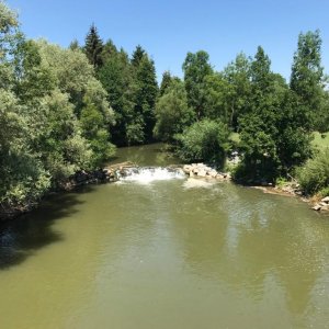 Rampe Aschach Karling Fluss-km 10,088